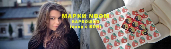 прущие крисы Алзамай